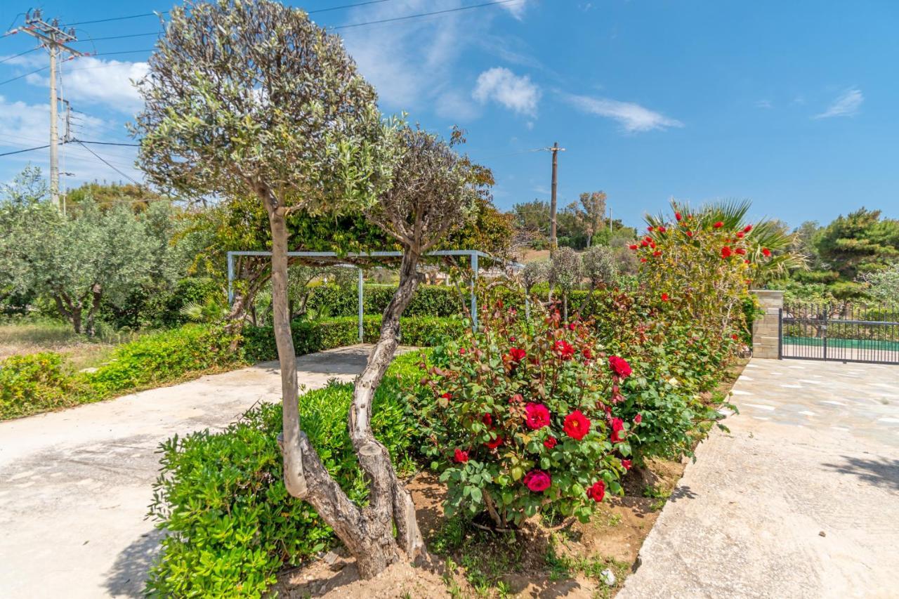 Legrena Beach House Sounion Exterior foto